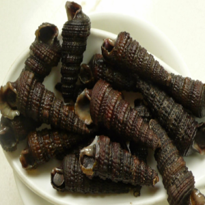 Periwinkle(in shell)