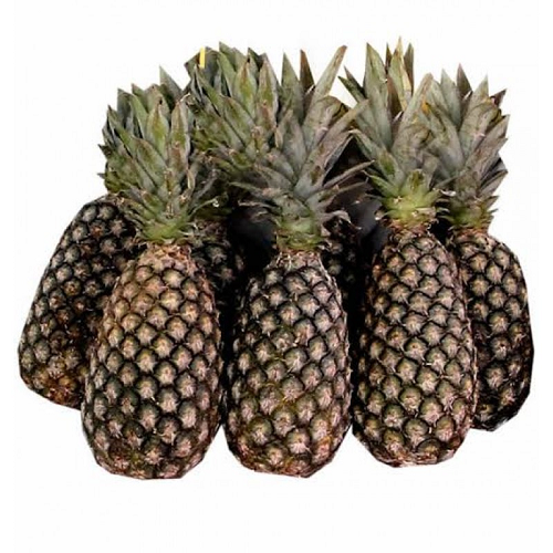 Pineapple cotonou
