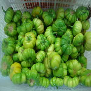 Garden Egg - half paint