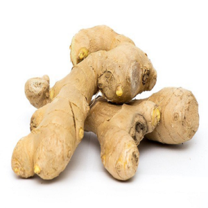 FRESH GINGER
