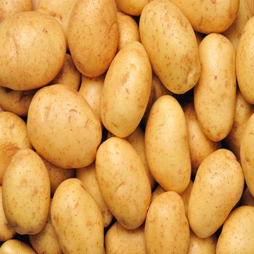 Where to Buy Irish Potatoes: Your Ultimate Guide to Sourcing Fresh ...