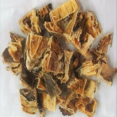 Stockfish/Oporoko (Head)