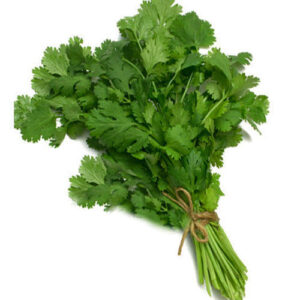 Coriander