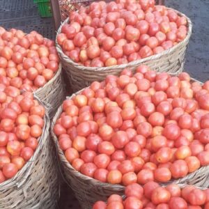 Tomatoes (Zaria/Jos)